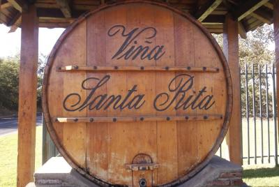 Excursión de medio día al viñedo de Santa Rita con recogida en el