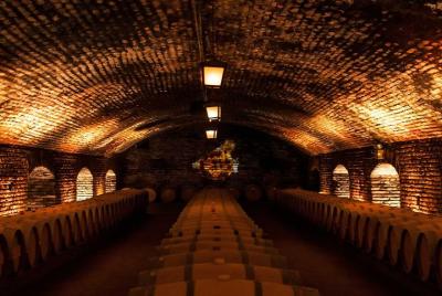 Tour Viña Concha y Toro