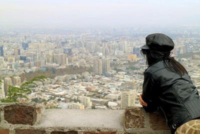 Tour de día completo en Santiago con almuerzo