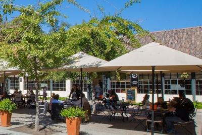 Bodega Concha y Toro Bodega Concha y Toro