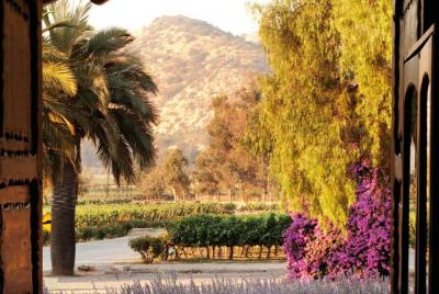 Visita clásica en la Viña Santa Rita Visita clásica en la Viña Santa Rita