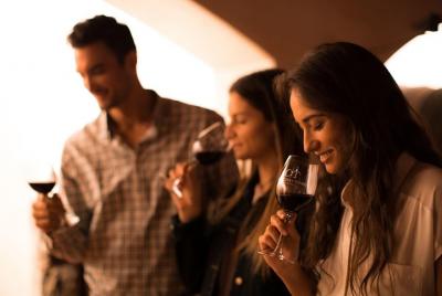 Excursión tradicional a Concha y Toro Excursión tradicional a Concha y Toro