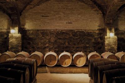 Bodega Santa Rita - Tour con degustación