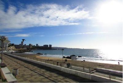 Tour "Paseando por la Cuidad Jardin,Viña del Mar" Tour