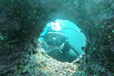 Excursión Buceo en Quintay Excursión Buceo en Quintay