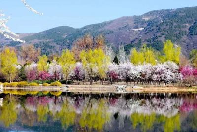 Traslado redondo privado a Fragrant Hill y al jardín botánico