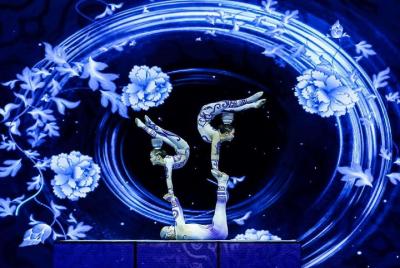 Espectáculo de acrobacias con servicio de conductor privado y tra