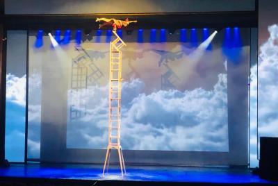 Espectáculo del Teatro Chaoyang de Beijing con traslado al hotel