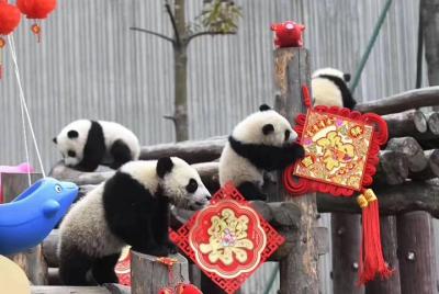 La base del panda de Chengdu y el templo de Wuhou, Jinli Ancient  La base del panda de Chengdu y el templo de Wuhou, Jinli Ancient