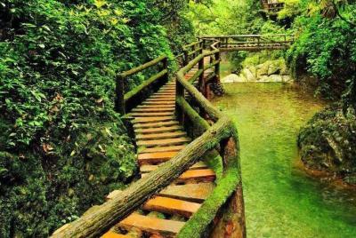 Viaje privado de 1 día: riego de Dujiangyan y Monte Qingcheng