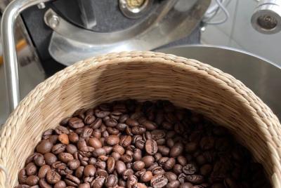 Tostador de café de Jay Clase de preparación