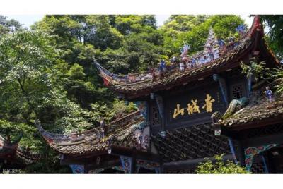 Excursión privada de un día a Chengdu Giant Panda & Mountain Qing