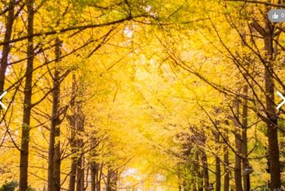 Museo de Chengdu + Parque del Pueblo