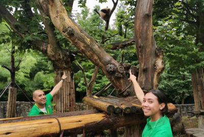 Voluntario privado de Chengdu Panda y sistema de riego desde Chon Voluntario privado de Chengdu Panda y sistema de riego desde Chon