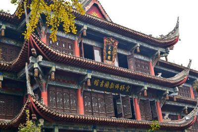 Excursión privada de un día a Chengdu: Base Panda y ciudad desde  Excursión privada de un día a Chengdu: Base Panda y ciudad desde