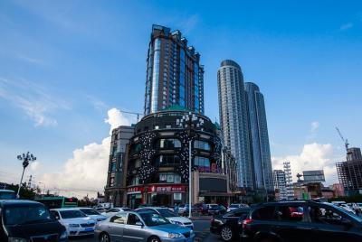 Traslado privado de ida y vuelta: aeropuerto internacional Dalian