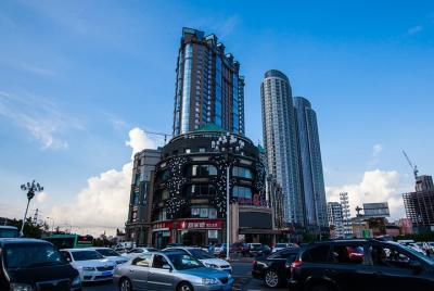 Traslado privado de salida: hotel al aeropuerto internacional Dal