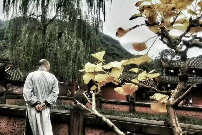 1 noche de estadía en el templo en el Monte Emei