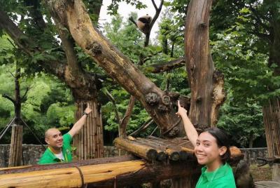 Voluntario privado de Chengdu Panda y recorrido por el sistema de