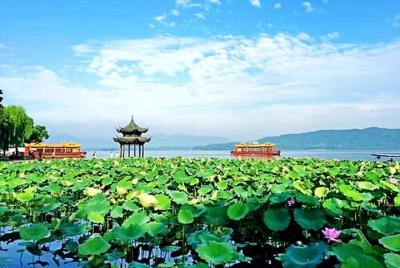 Hangzhou Private English Tour Guide / Servicio de interpretación
