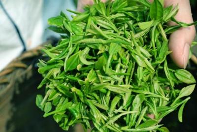 Hangzhou City Walk - Cultura de té de medio día - Tour en grupos 