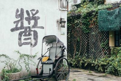 Hangzhou City Walk - Medio día Antigua calle cultural y canal - G