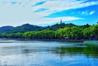 Excursión privada de un día a Hangzhou