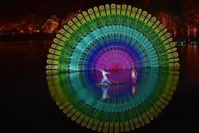 Sin colas: boleto de asiento VIP Impression West Lake