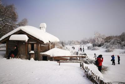 Tour en grupo pequeño a Harbin Volga Manor con entrada y almuerzo