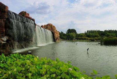 Tour de grupos pequeños en verano: Harbin Sun Island, Ice Indoor 
