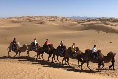 Tour privado de un día al desierto de Kubuqi desde Hohhot con rec