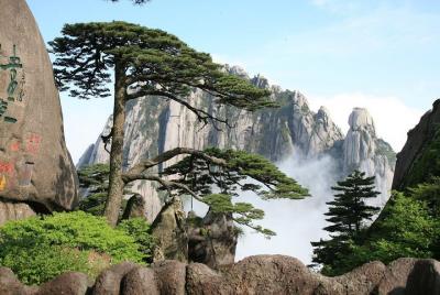 Excursión privada de 3 días a Huangshan que incluye servicio de t