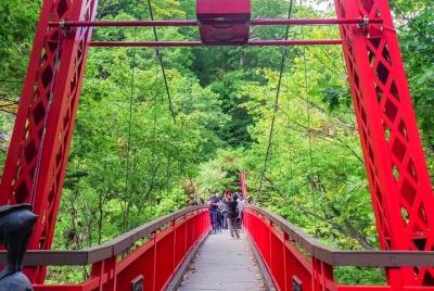 Tour privado - Jozankei: la naturaleza y las aguas termales de Ho