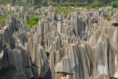 Excursión de un día a Kunming al bosque de piedra