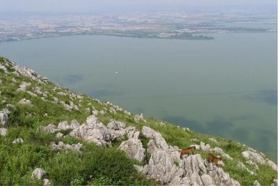 Viaje privado de 1 día en Spring City