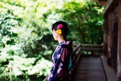 Pasea por el castillo de Himeji y el jardín japonés en tu kimono 