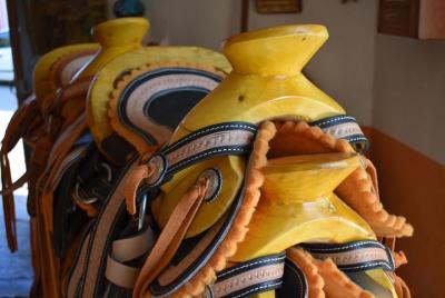 Ruta de las Bodegas La Noria