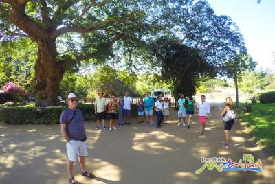 Paseo Privado a La Noria y Destiladora de Agave