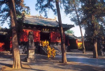 Excursión privada increíble al templo Shaolin desde Luoyang