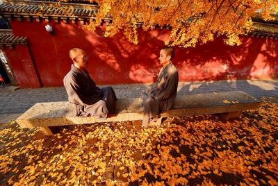 Excursión privada de un día a Luoyang por el templo de Shaolin y 