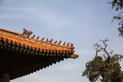 Excursión de un día a Ni Mountain con todo incluido desde Qufu