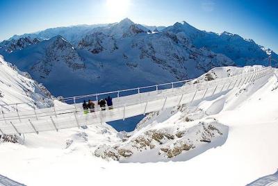 Excursión de un día al Monte Titlis y Lucerna que incluye un bole