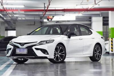 Servicio de chofer en el aeropuerto internacional de Sanya Phoeni