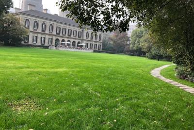 Tour privado a pie en profundidad por Bund