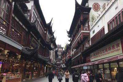 Excursión privada de medio día a Shanghai con estilo de vida loca