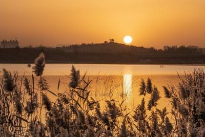 Tour romántico en Shijiazhuang