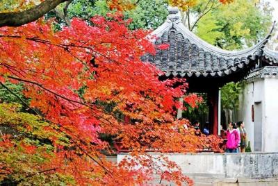Excursión flexible privada de 4 horas a Suzhou con opción de pase