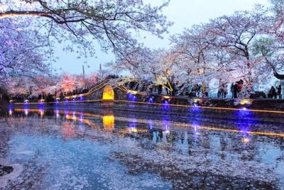 Excursión autoguiada de Wuxi desde Suzhou en automóvil privado