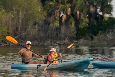 Tour en kayak por los manglares