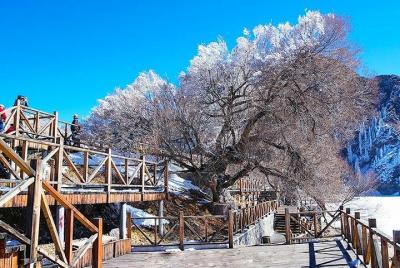 Excursión de un día a Urumqi: Lago Celestial, Gran Bazar